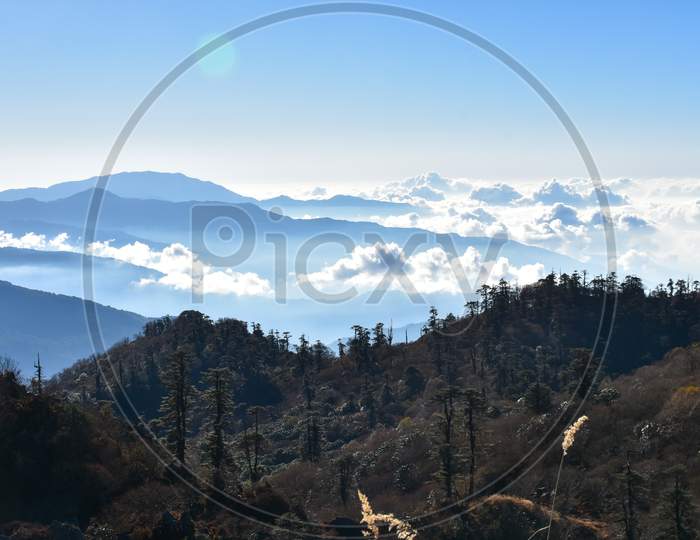 Landscape With Pine Forest , Rows Of Ridges And Clouds .