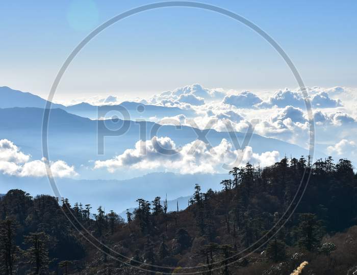 Landscape With Pine Forest , Rows Of Ridges And Clouds .