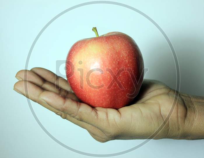 Woman Hand Holding An Apple  Stock Photo