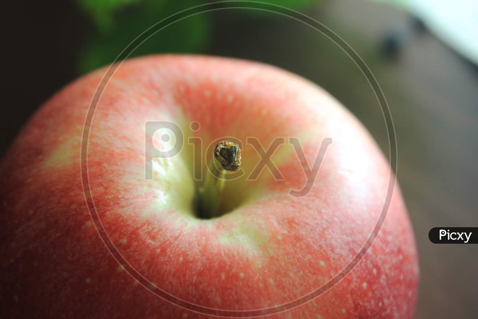 Fresh Apple Closeup