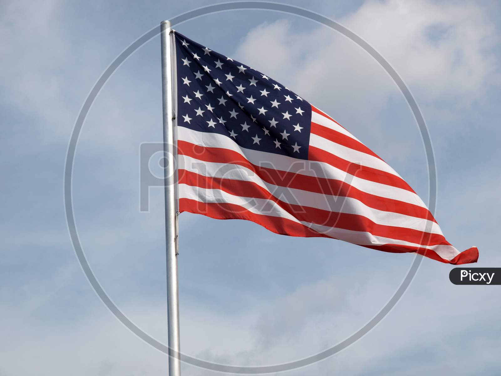 Usa Flag Of The United States