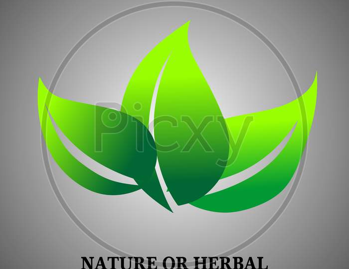 Leaf, plant, logo, ecology, people, wellness, green, leaves, nature symbol icon of vector design, abstract vector illustration.