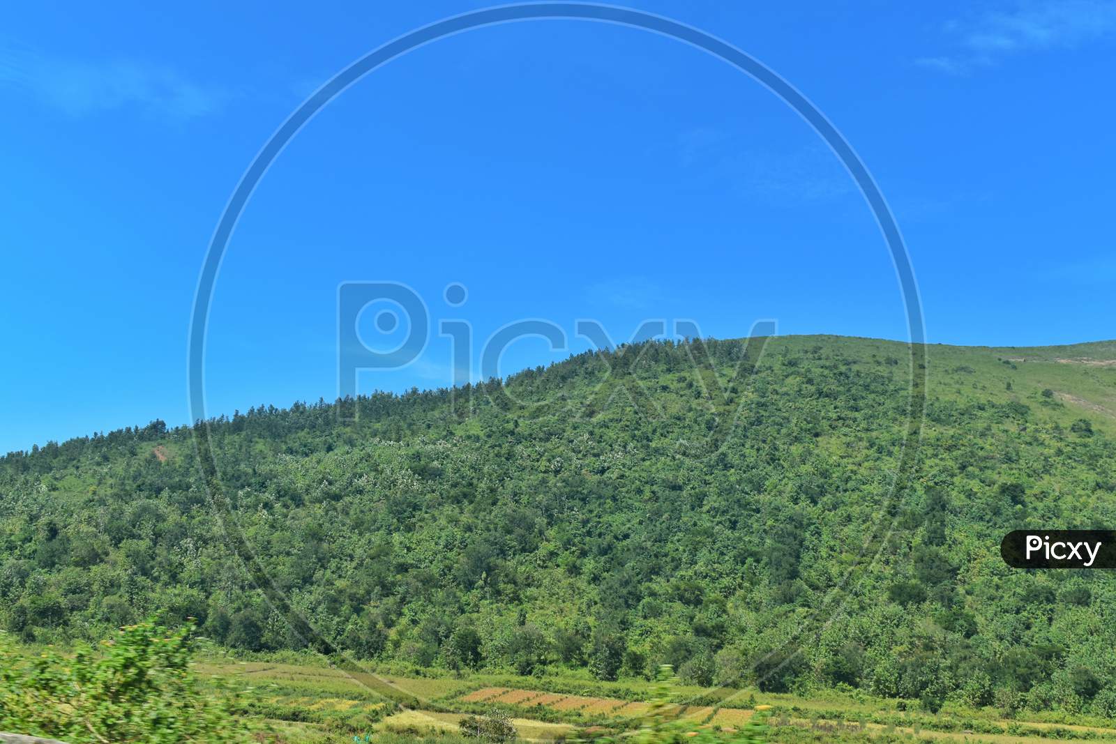Background Forest Spreading Mountain Farming Fields Background Image