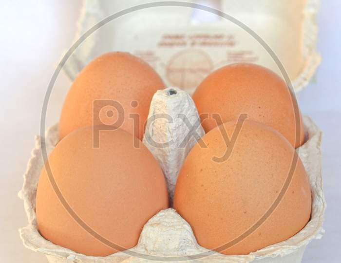 Eggs Carton Box