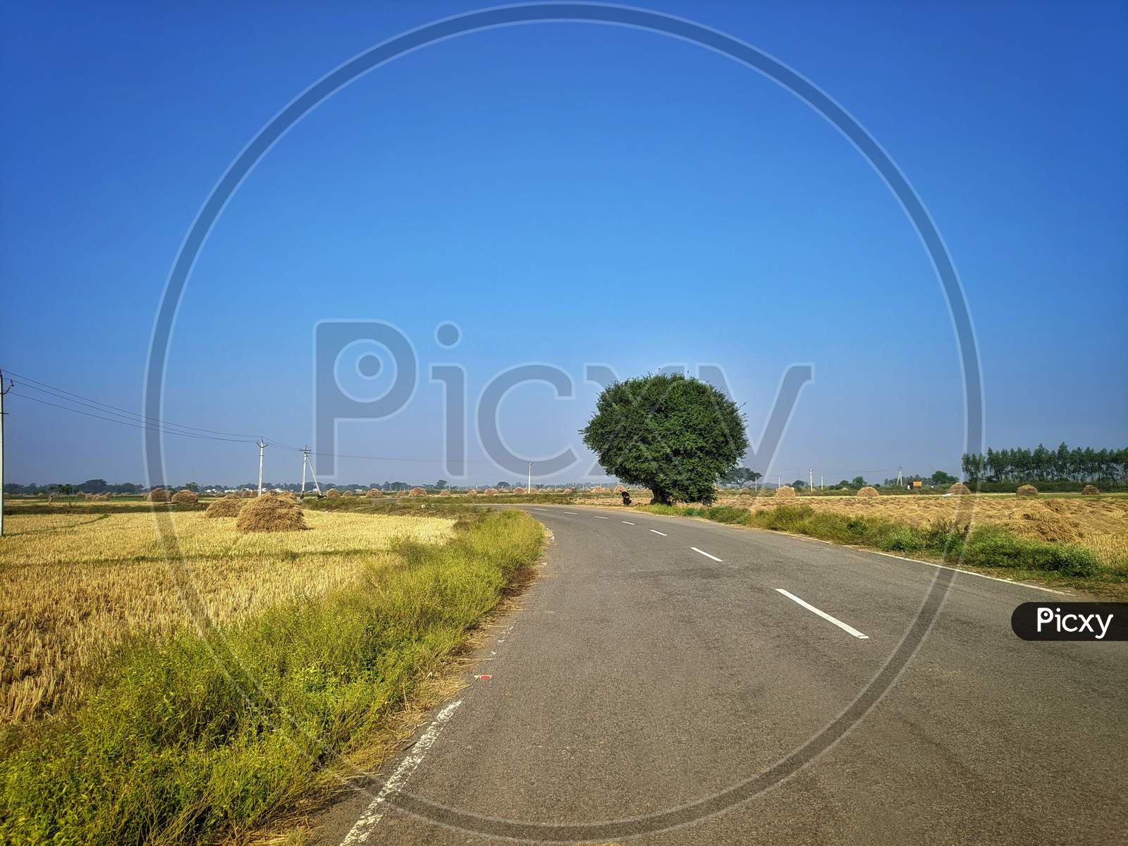 Rural Landscape With Trees And Country Road In India. Photo Was Taken On A Beautiful Sunny Day With And Clear Blue Sky.