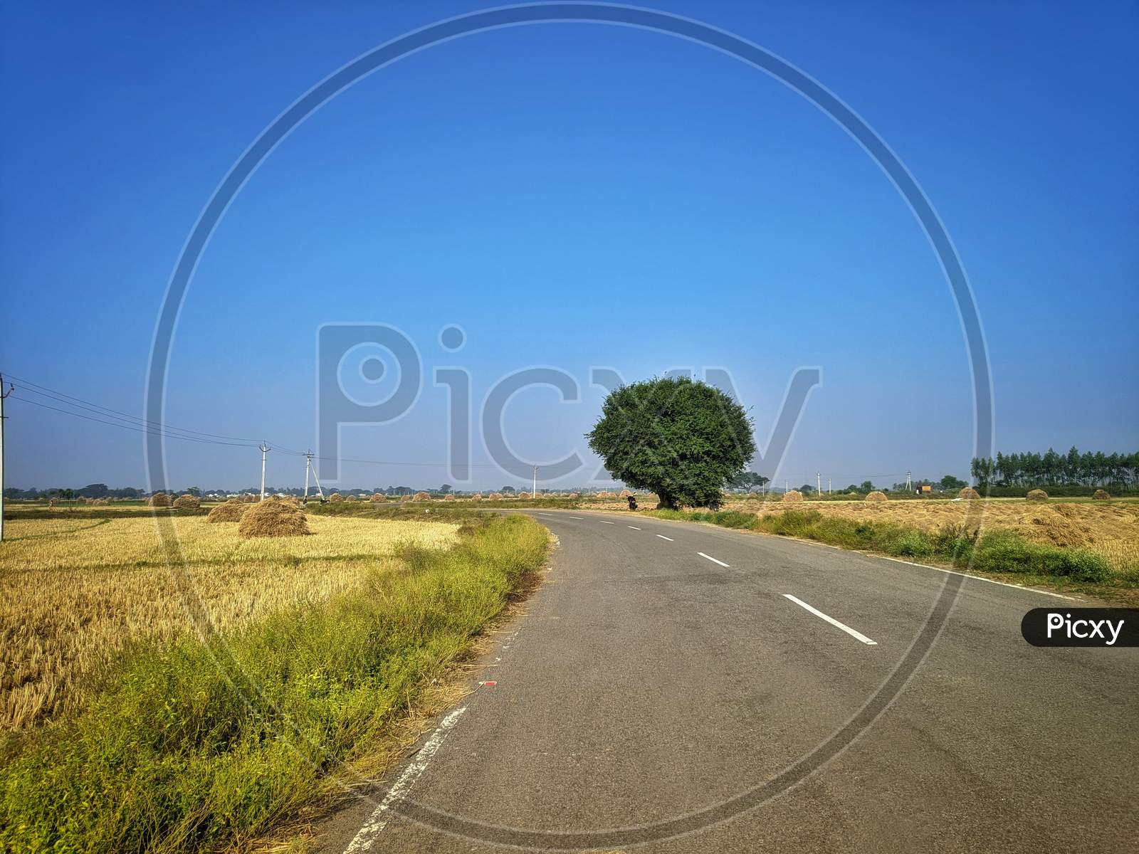 Image of Rural Landscape With Trees And Country Road In India. Photo Was  Taken On A Beautiful Sunny Day With And Clear Blue Sky.-QN621237-Picxy