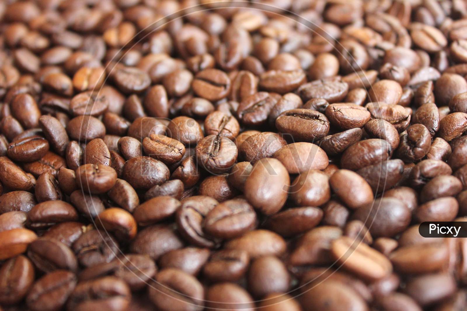 Closeup Of Roasted Coffee Beans Texture