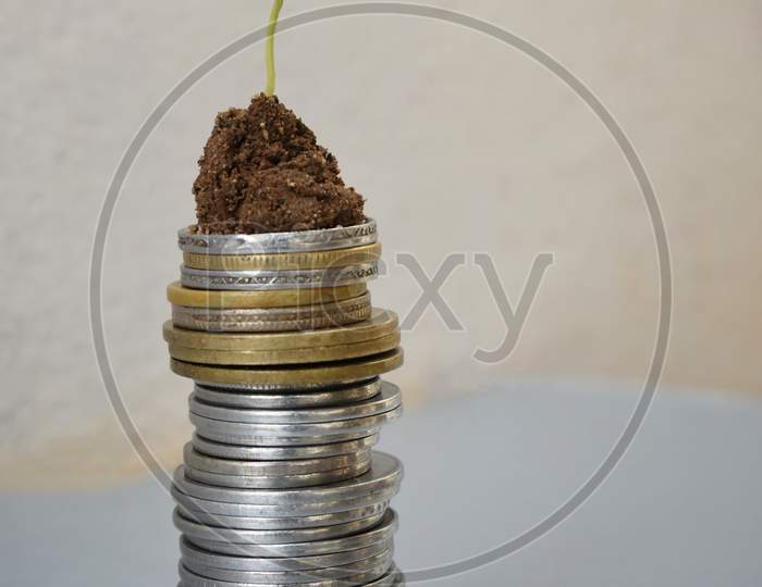 Plant Growing In Savings Coins On Wooden And Nature With Sunray Background - Investment Concept, India.