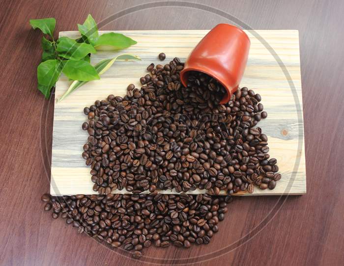 Fallen Roasted Coffee Bean
