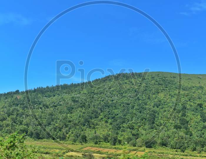 Background Forest Spreading Mountain Farming Fields Background Image