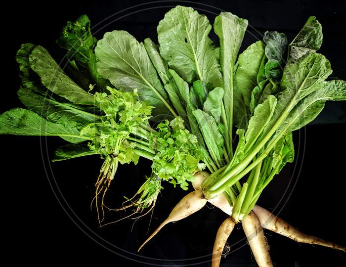 Green Radish And Bunch Of Fresh Coriander Leaves Over Black Background As Package Design Element
