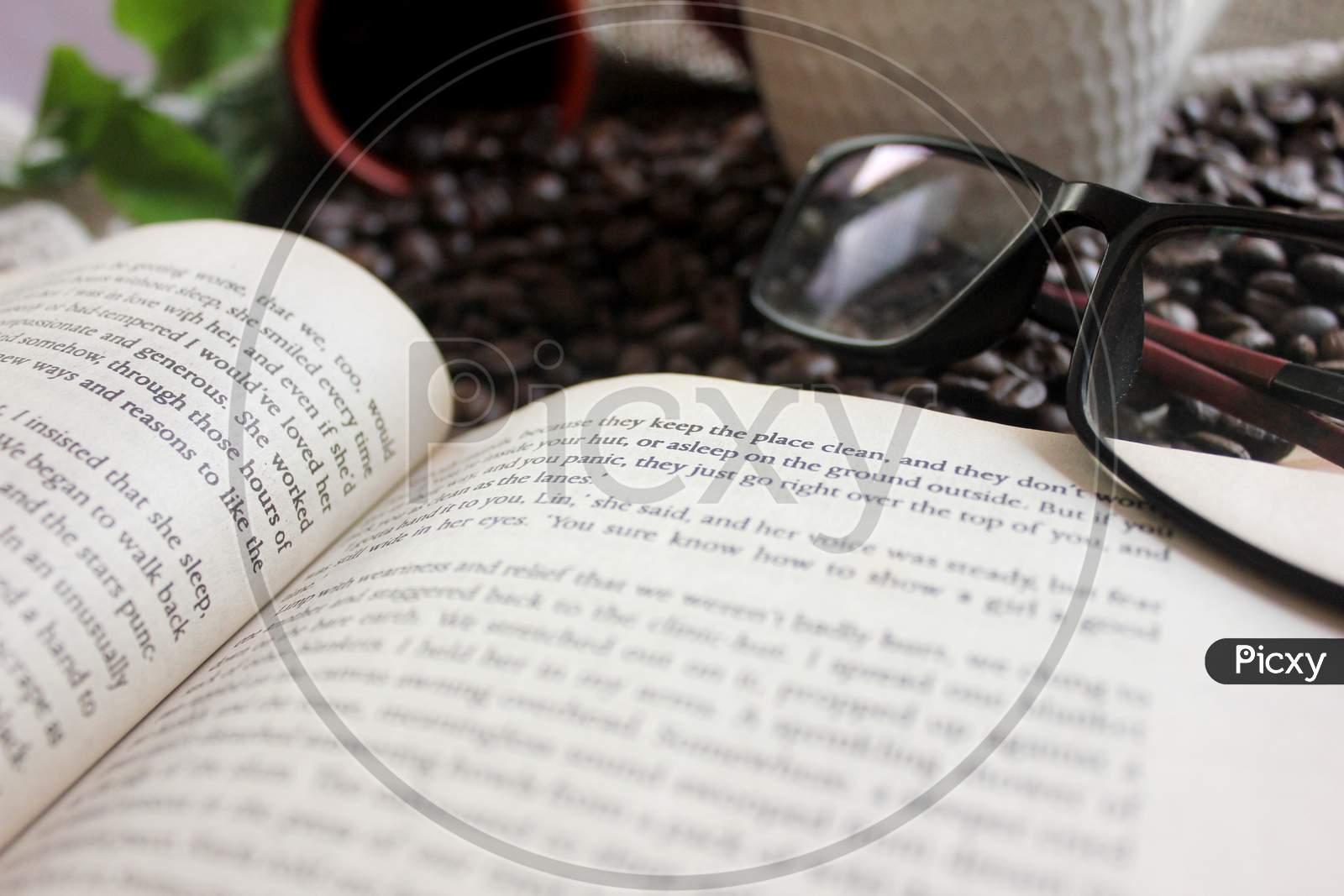 A Book And Coffee Beans