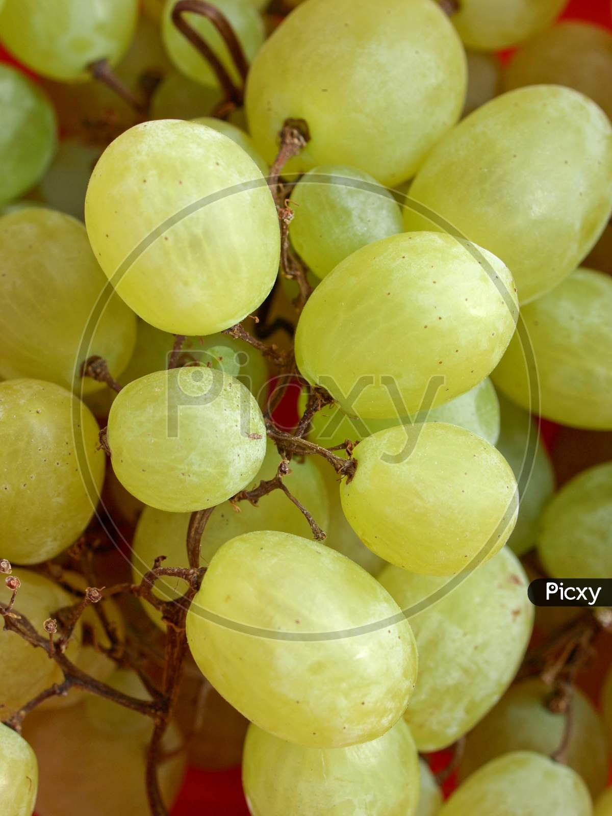 White Grape Fruit Food