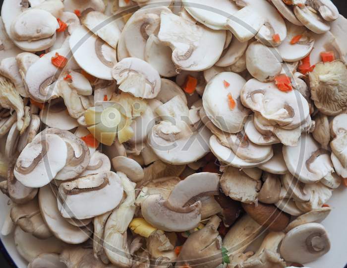 Champignon Mushroom Food