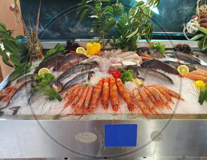 Still Life Of Fresh Fish In City Rethymno In Crete Greece. Seafood On Ice: Octobus, Snails, Crabs, Shrimp, Fish Etc, Europe