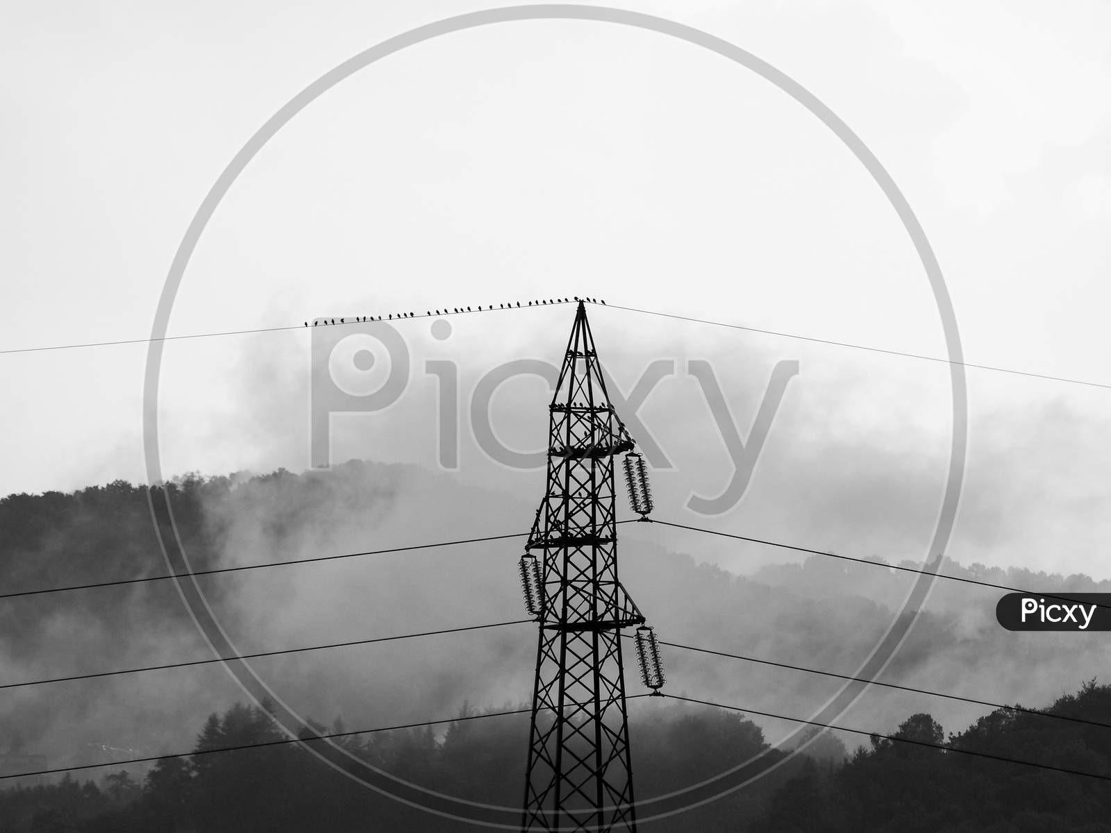Transmission Line In Stormy Weather