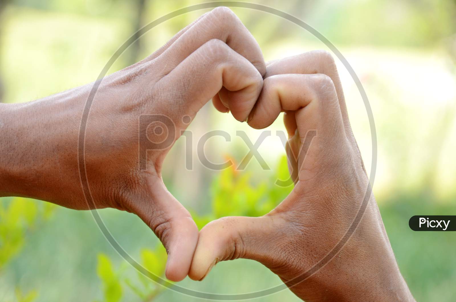 Heart Shape Hands Mental Health Awareness Concept Focus Over Out Of Green Background.