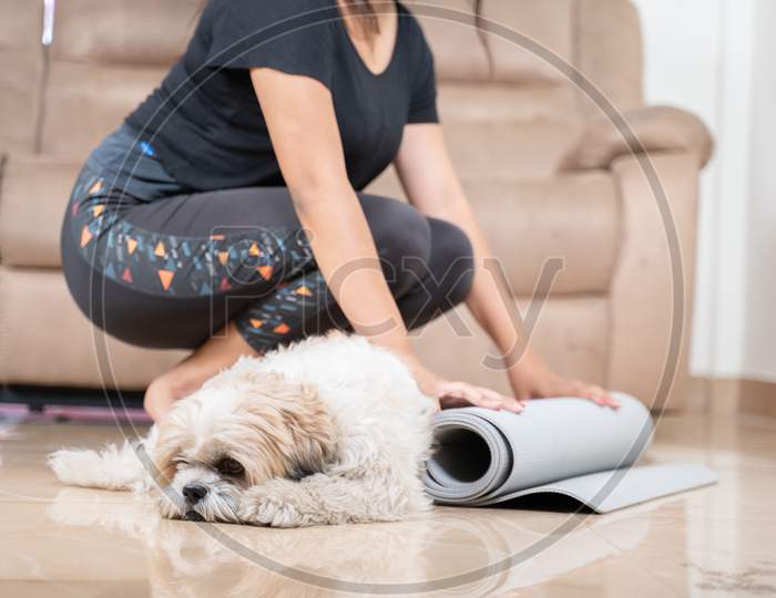 Unrecognizable Young Girl Preparing Or Starting For Yoga At Home By Unfolding Mat On Floor With Her Pet - Concept Of Fitness,Workout And Healthy Life From Home During Coroanavirus Or Covid-19 Pandemic.