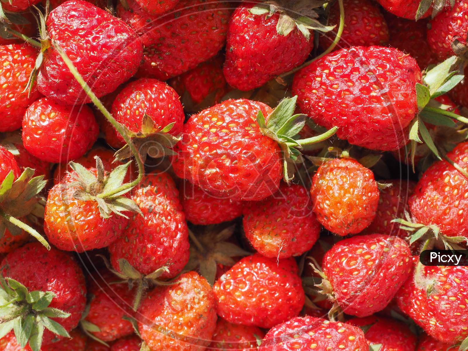 Strawberry Fruit Background