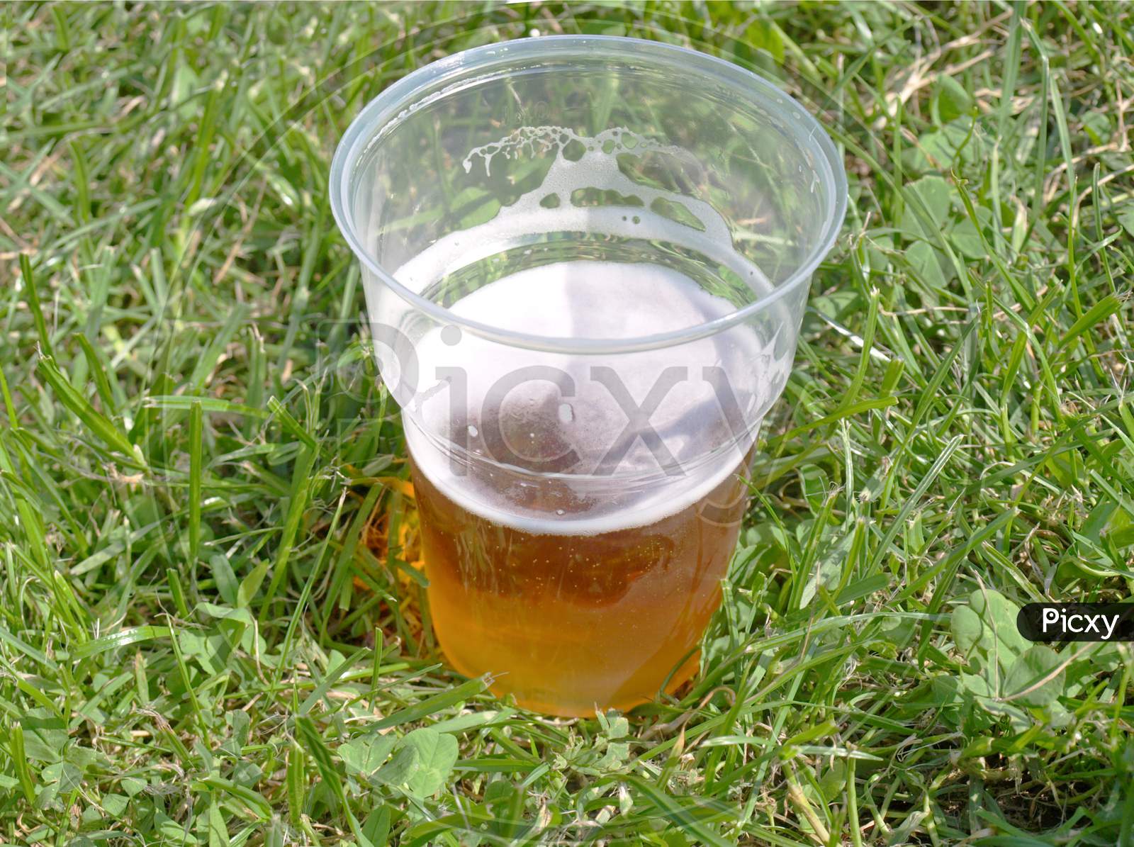 Disposable Beer Glass