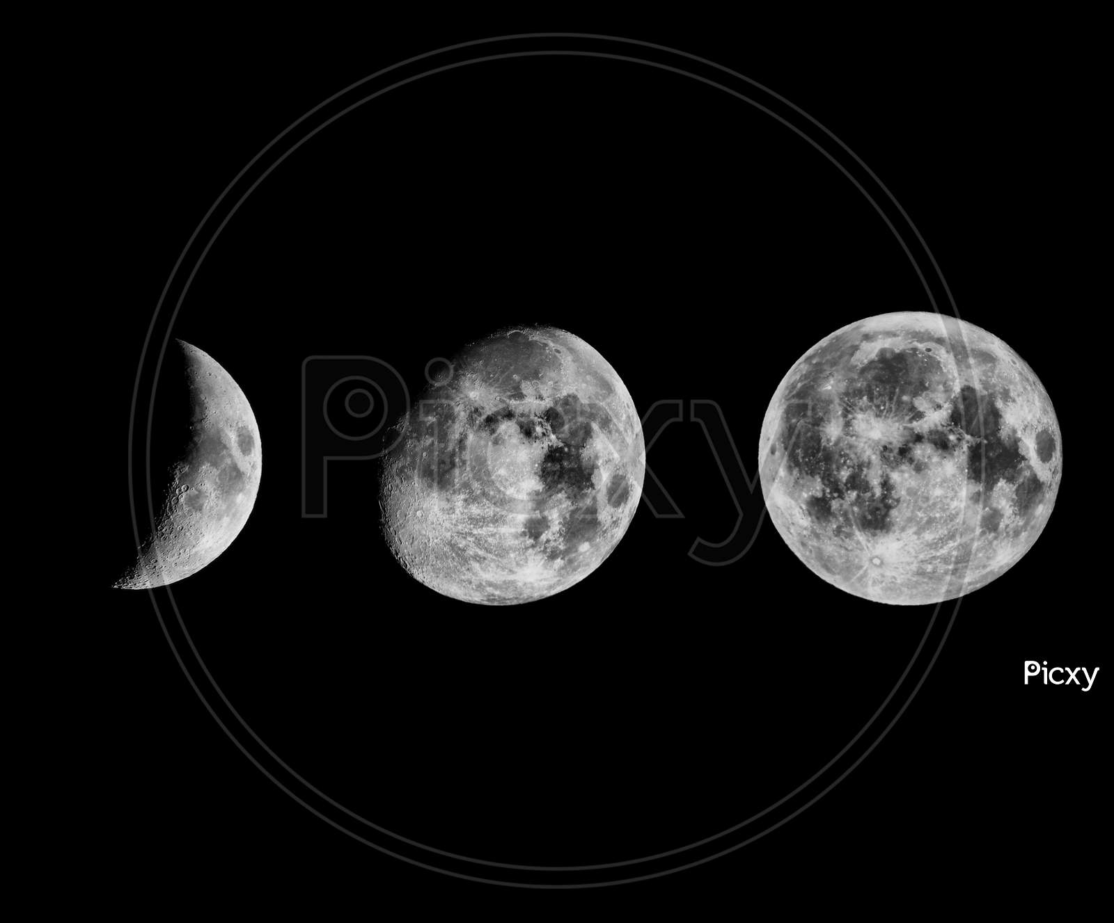Moon Phases Collage
