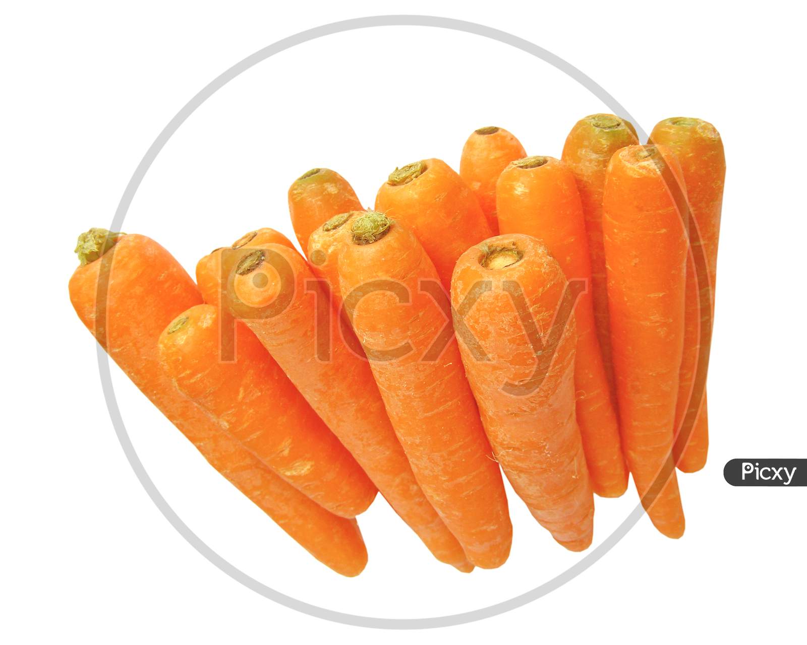 Carrots Isolated Over White