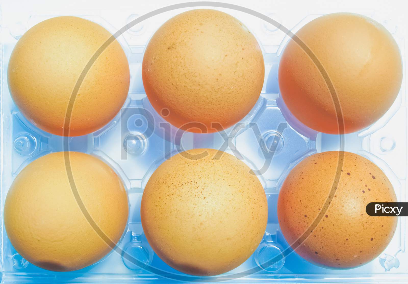 Eggs In A Plastic Carton