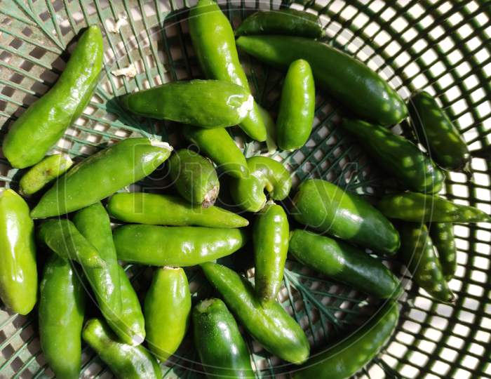 Bunch Of Green Chilies In Basket