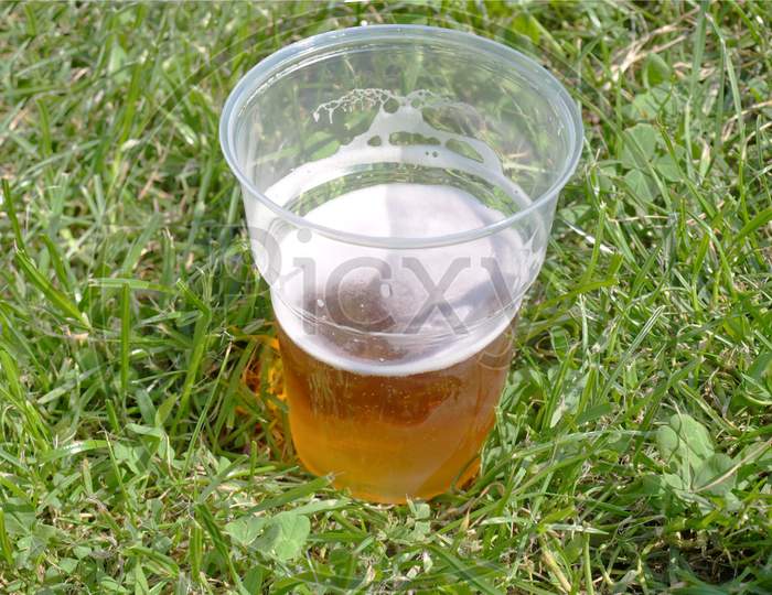 Disposable Beer Glass