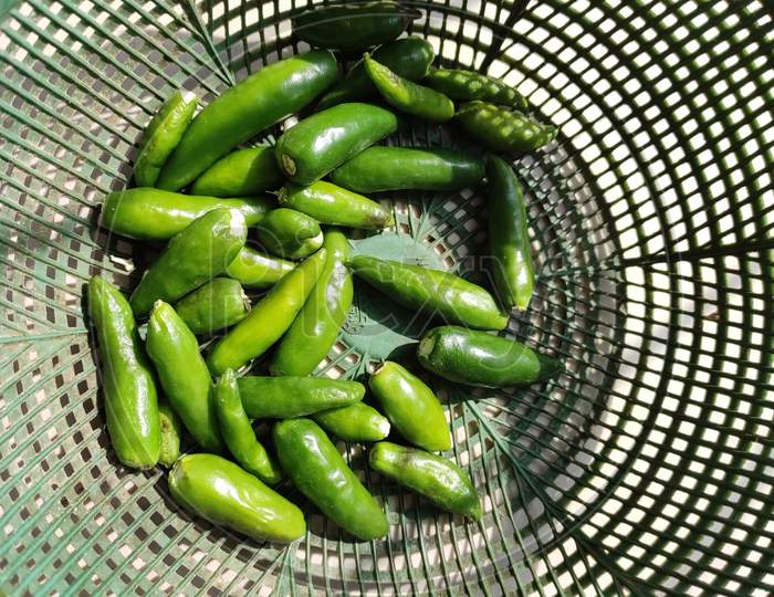 Bunch Of Green Chilies In Basket