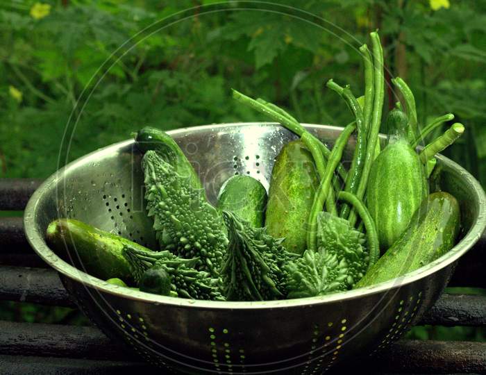 Home Grown organic vegetable grown in North East India