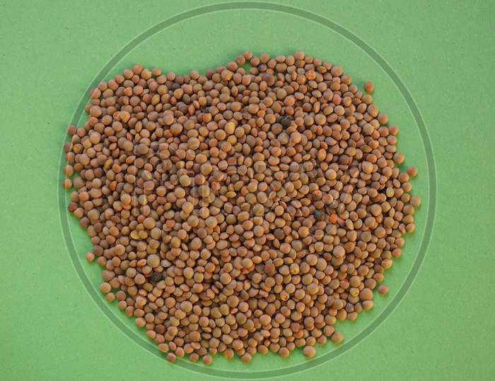 Lentils Pulse Grain Legume (Lens Culinaris) Legumes Vegetables Food With Copy Space