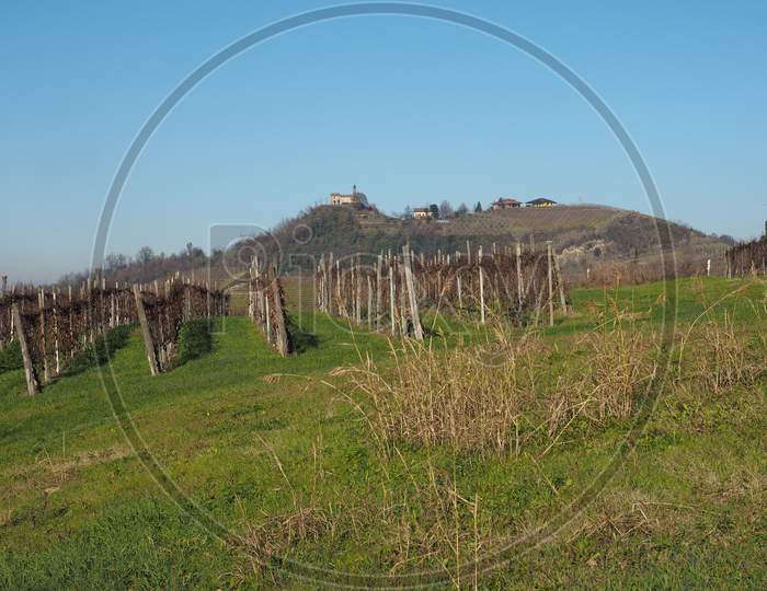 Roero Hills In Piedmont