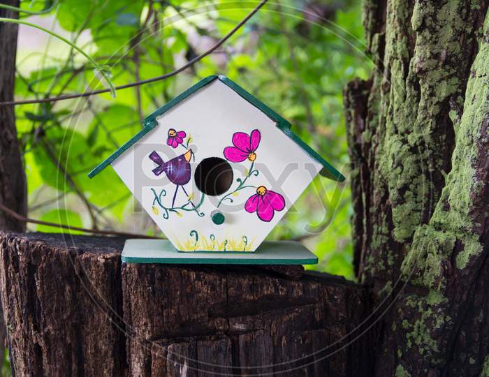 Handmade Houses For Birds Painted By Hand On The Tree Trunk