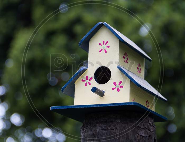 Handmade Houses For Birds Painted By Hand On The Tree Trunk