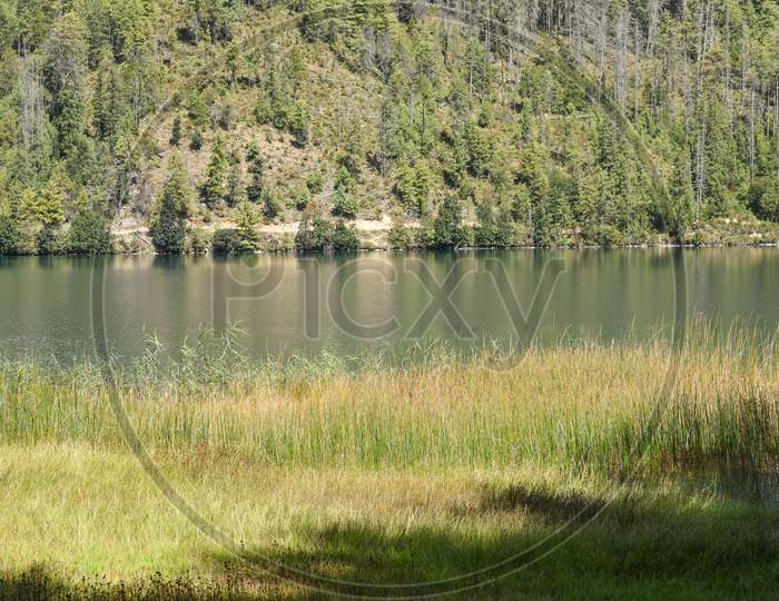 lake and grass