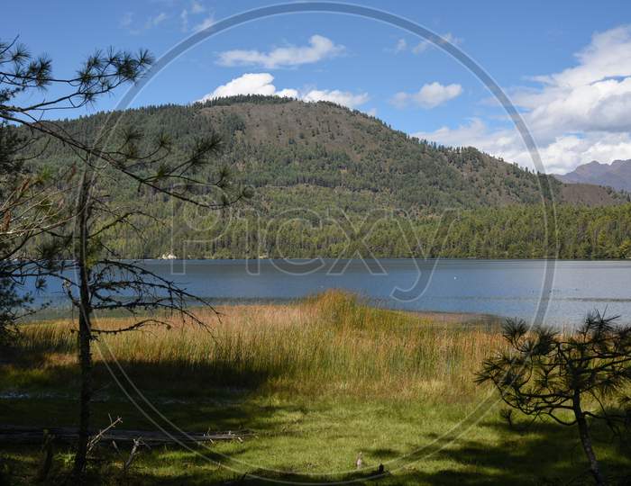 Mountain lake and grass