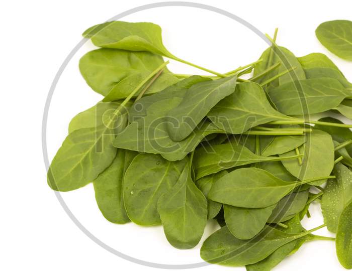 Fresh Spinach Stock Photo