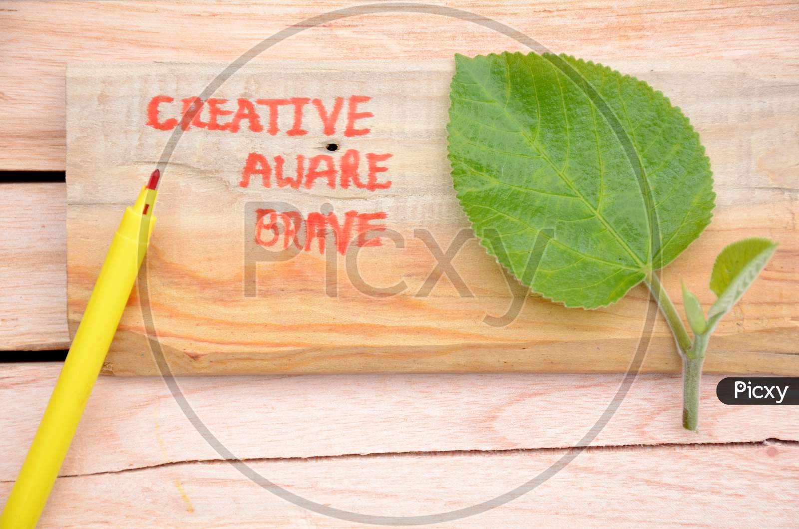 Creative ,Aware,Brave,Write In The Wooden Mental Health Awareness Concept With Green Blue Berry Leaf On The Wooden Background.