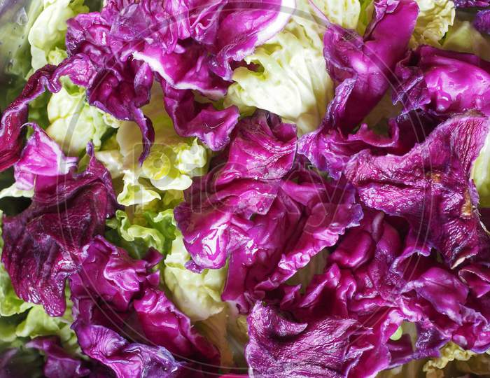 Cabbage Vegetables Food