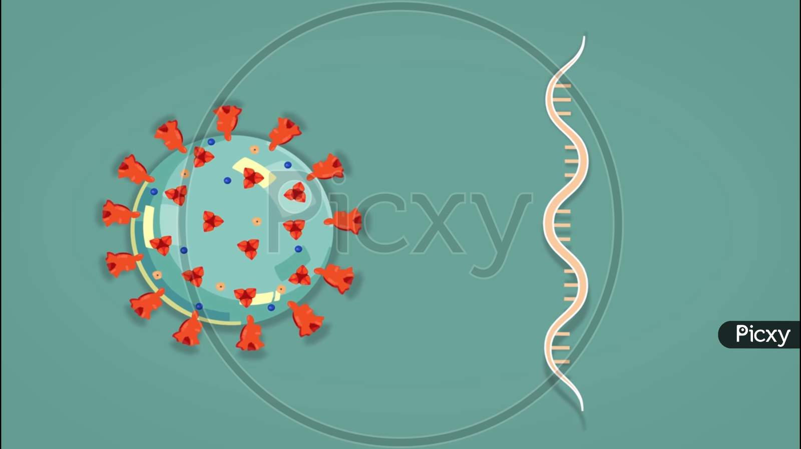 Covid 19 DNA illustration
