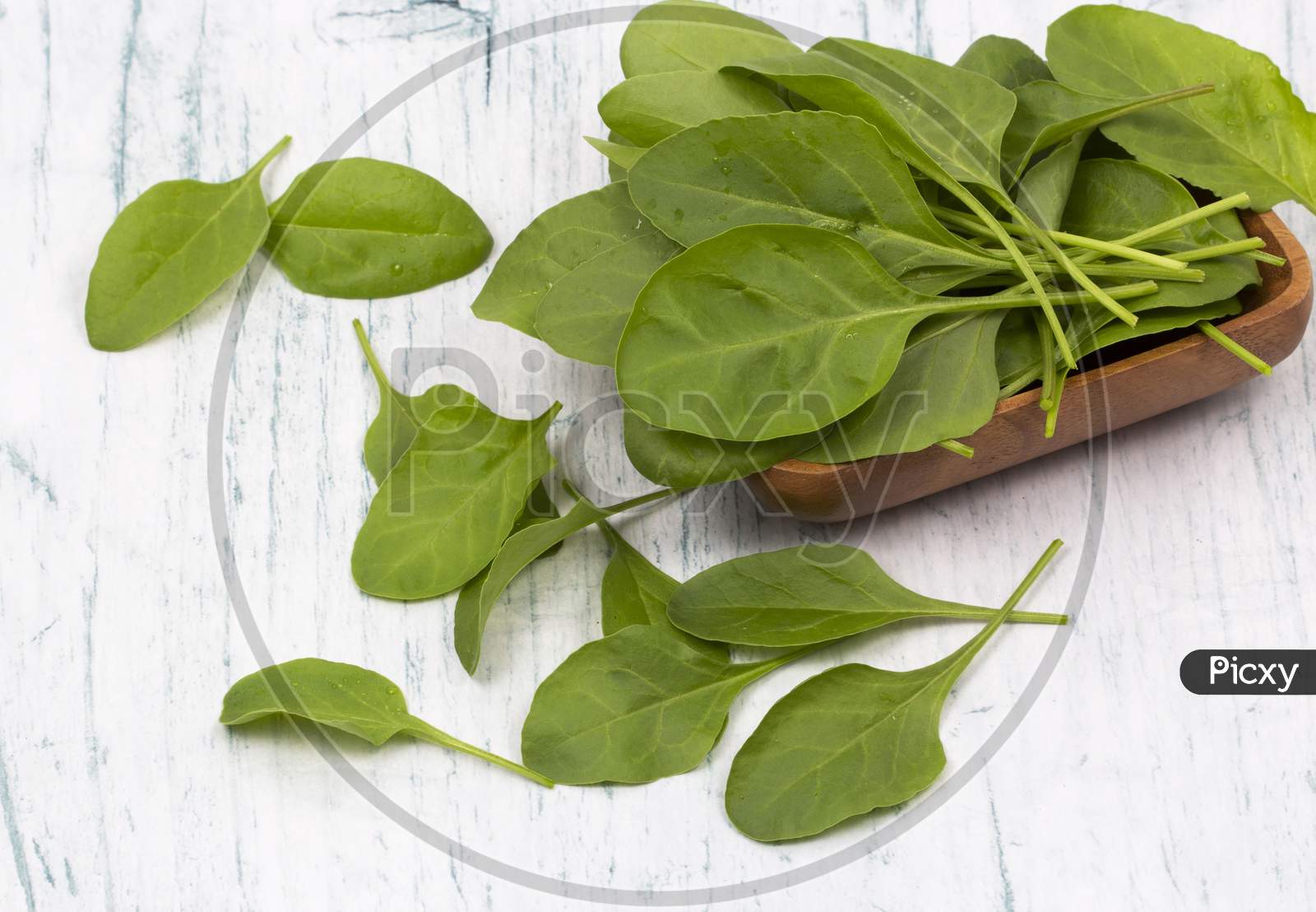 Fresh Spinach Leaves In Bowl