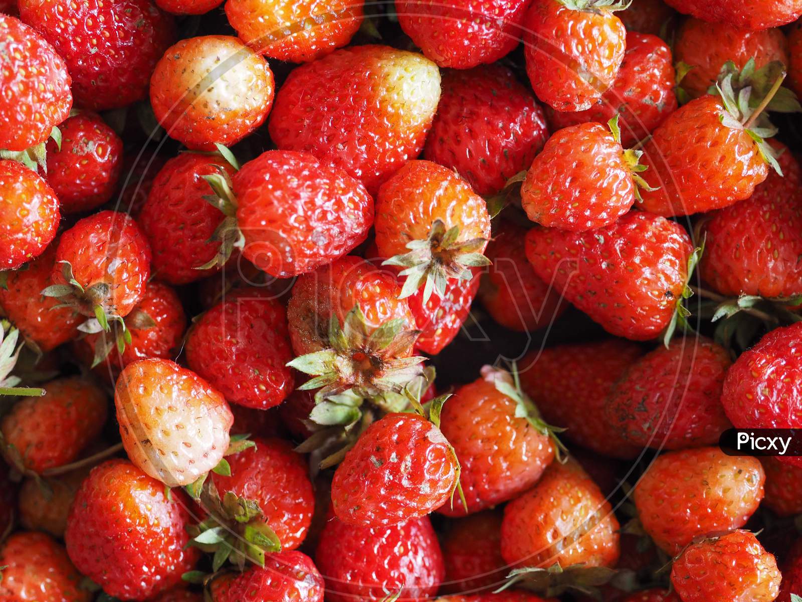 Strawberry Fruit Food