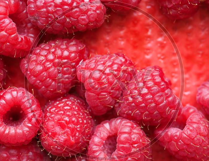 Raspberry Fruit Food