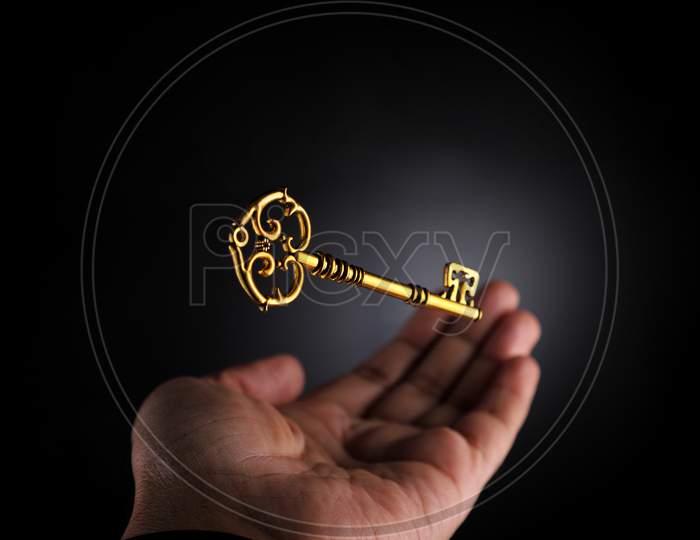 Hand Catching A Golden Key Business Opportunity Concept