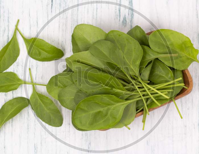 Baby Spinach Leaves In Wooden Bowl