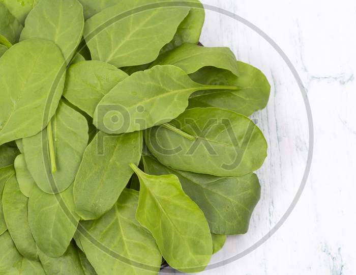 Fresh Spinach Stock Photo