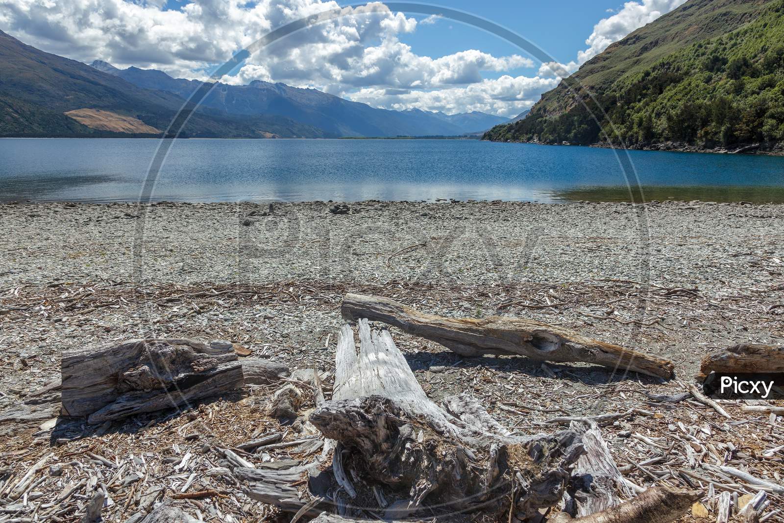 Driftwood On The Shore Of Lake Wanaka In New Zealand