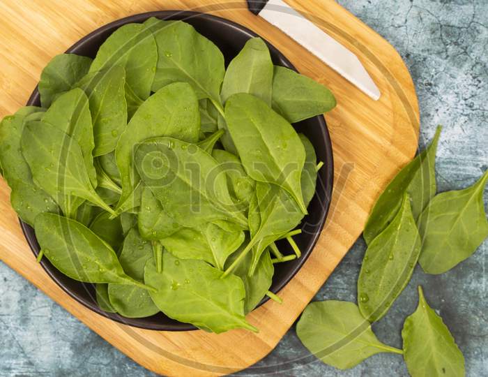 Baby Spinach Leaves Stock Photo