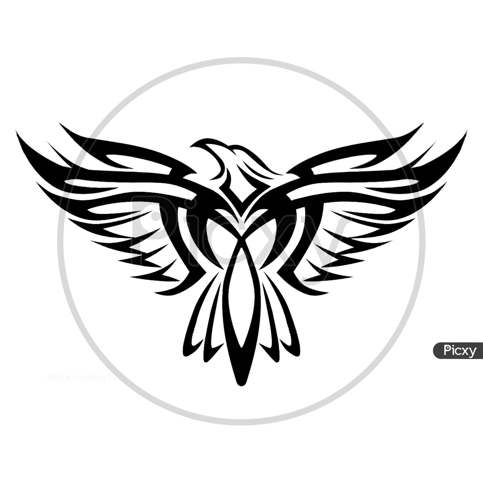 Bald Eagle with American Flag Color Tattoo Black and White Stock Vector   Illustration of landing colour 250980511